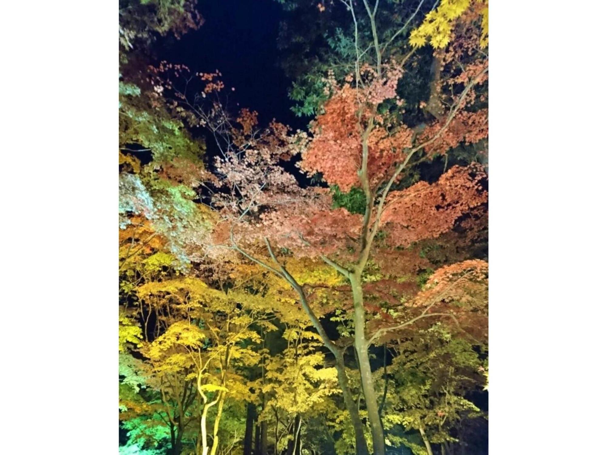 Hotel Tetora Yunokawaonsen - Vacation Stay 30623V Hakodate Exteriér fotografie