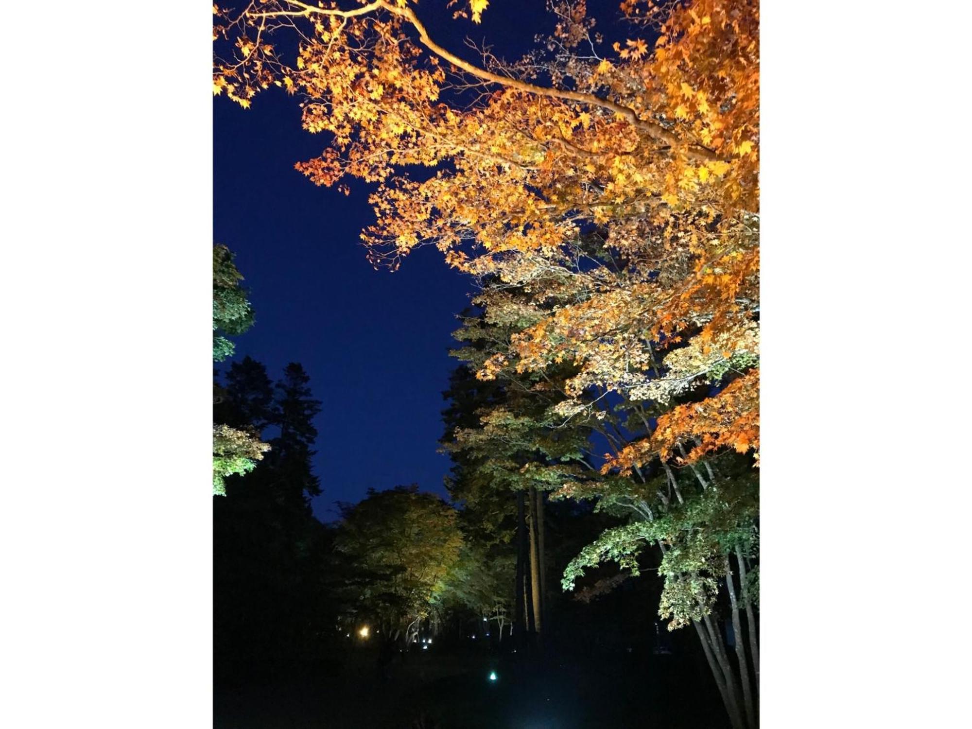 Hotel Tetora Yunokawaonsen - Vacation Stay 30623V Hakodate Exteriér fotografie